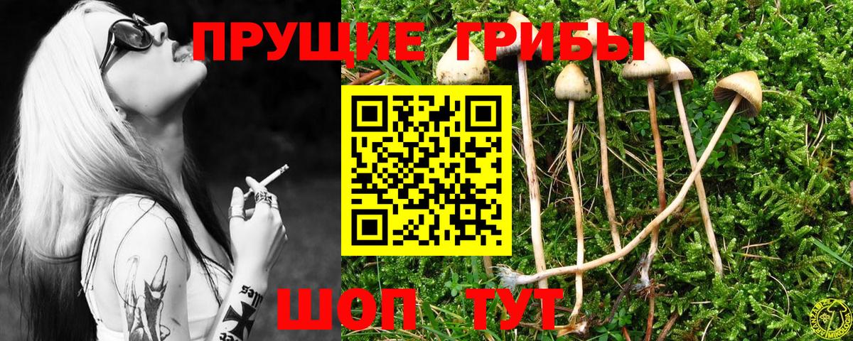 сколько стоит  Вход с VPN  Джанкой  Галлюциногенные грибы MAGIC MUSHROOMS 